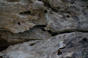 Horizontal wooden texture