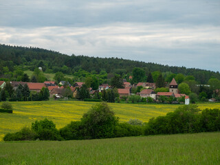 Fototapeta premium Espenfeld