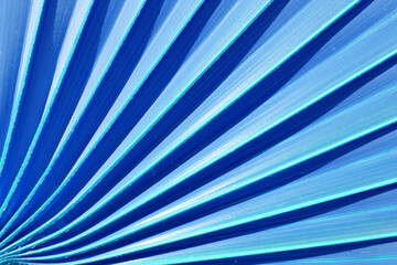 Fond palmier bleu, forme éventail accordéon 