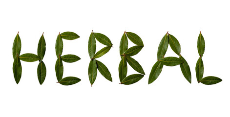 The inscription "herbal" collected from the leaves of laurel. Sweet bay (laurel, Laurus nobilis, Grecian laurel) fresh green leaves isolated on white.
