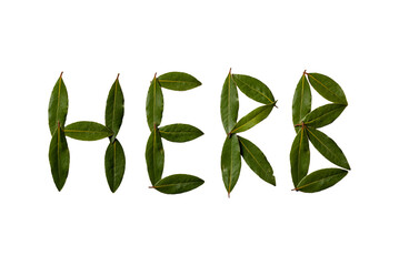 The inscription "herb" collected from the leaves of laurel. Sweet bay (laurel, Laurus nobilis, Grecian laurel) fresh green leaves isolated on white. 