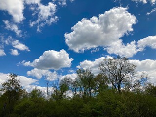 Obraz premium blue sky with clouds