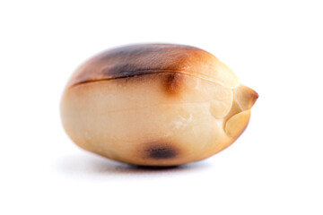 Roasted at home peanut isolated on white background