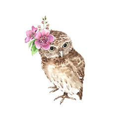 cute brown owl with flowers on her head, watercolor illustration