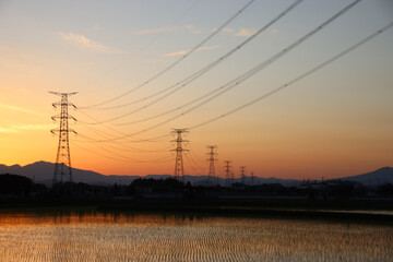 水田と夕焼け　栃木県芳賀郡芳賀町