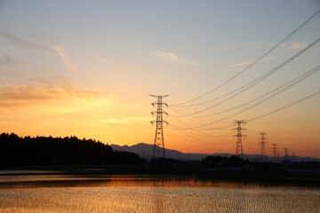 水田と夕焼け　栃木県芳賀郡芳賀町