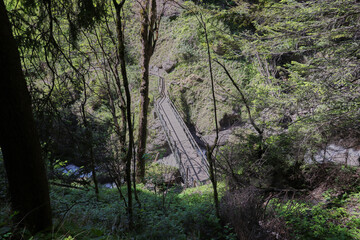 Natureza Suiça