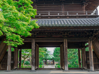 Fototapeta premium 三門