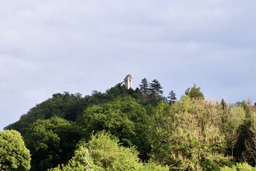 Flores, Plantas e árvores