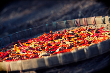 Red Hot Spicy Pepper 