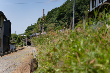 廃線の味のある綺麗な景色