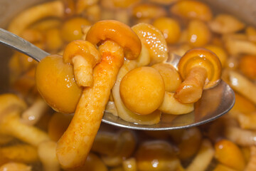 Pickled honey mushrooms