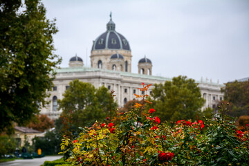 Fototapeta na wymiar Viena, Austria