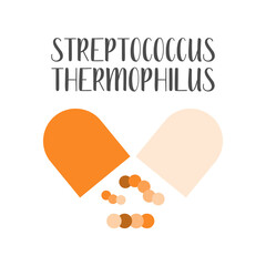 Streptococcus thermophilus. Probiotics. Lactic acid bacteria. Good bacteria and microorganisms for gut and intestinal flora health. Vector set
