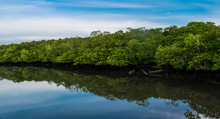Beautiful view of Havelock island in Andaman.