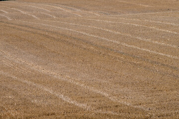 Stubble in autumn fields after harvest in England