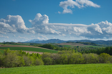 Fototapeta na wymiar 素敵な雲のある美瑛の新緑の季節