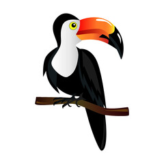 Pelican tropic bird sitting on a bench of tree isolated icon. Vector illustration.