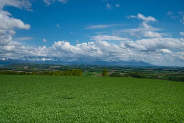 6月の残雪の山々と美瑛の大地 © 大西 親文