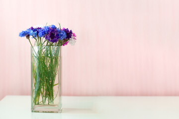 Front view of cornflowers in a vase on a pink background