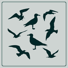 Fototapeta premium Set of seagulls silhouettes
