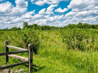 Mill Creek Wetlands in Ohio on a beautiful summer day with a wooden fence in the foreground and fields of green with a bright blue and cloudy sky in the background.