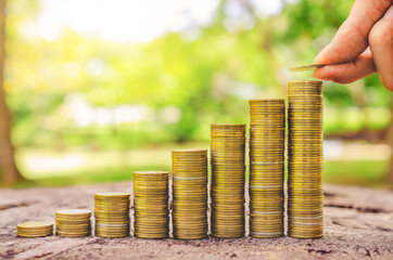 investor business man hand putting money on coins row stack on wood table with blur nature park background. money saving concept for financial banking and accounting.