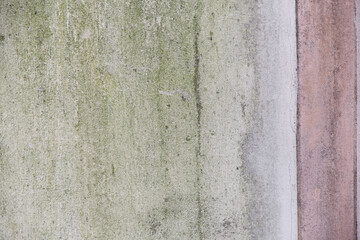 Dark spots on the wall caused by mold