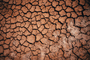 layout dramatic concept cracked mud earth in drought africa famine global warming climate change