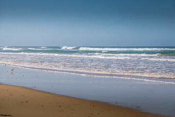 Traveling along the Great Ocean Road in New South Wales, Australia, visiting  a beach next to the Seven Miles Beach National Park at a sunny day in summer.