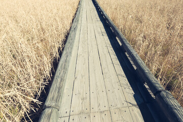 A wooden direct path, way