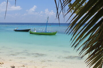 Fototapeta na wymiar Palm trees on a paradise island. Amazing Maldives.