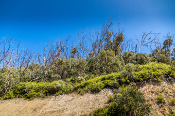 Traveling along the Great Ocean Road in New South Wales, Australia, visiting  a beach next to the...