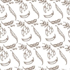 Sweet pea pod, growing plant with leaves seamless pattern