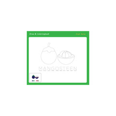 Simple educational draw and coloring game for kids. Illustration of Mangosteen.