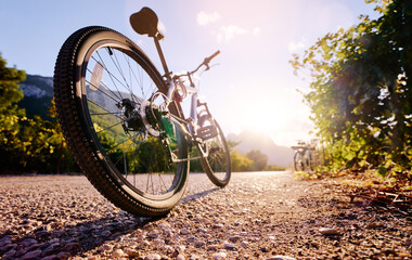 Fototapeta na wymiar Healthy lifestyle. Close up of mountain bicycle on the road against sunny sky.