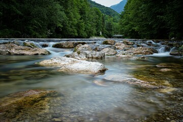 mountain river in the forest