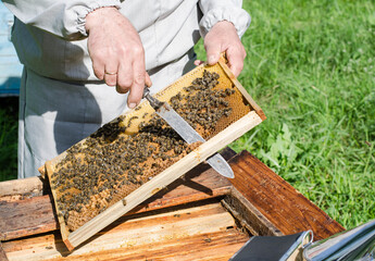Frames with honey. The beekeeper is working. Hive. The bees.