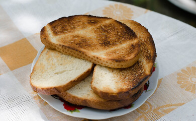Toasted bread on bonfire. Plate with bread.