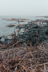 rocky beach in the morning