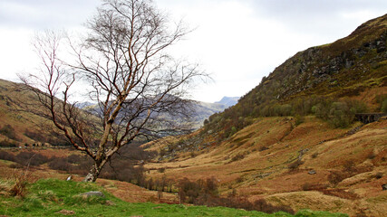 Obraz premium Schottland Reise