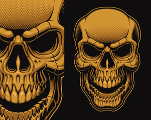 A vector illustration of a skull.