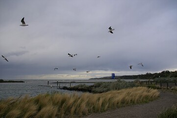 Fototapeta premium Storm approaching Clifton Springs, from Corio Bay, Victoria, Australia.