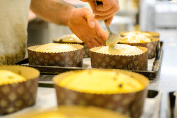 pastry chef in professional kitchen preparing and baking milanese panettone in christmas time....