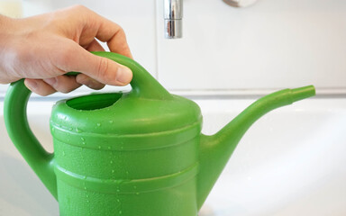 A hand grips a filled watering can in a bathroom sink to water indoor plants. © ThePhotoFab