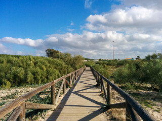 Fototapeta premium Straight beach boardwalk to Playa de la Hierbabuena near Barbate at Costa de la Luz, Spain