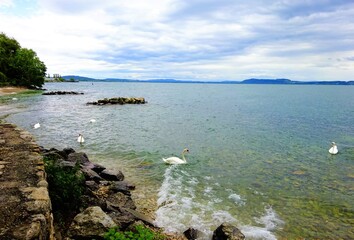 Lac dans le printemps.