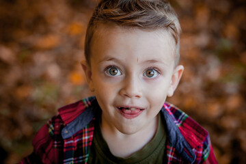 Portrait of beautiful smiling little boy at autumn park.