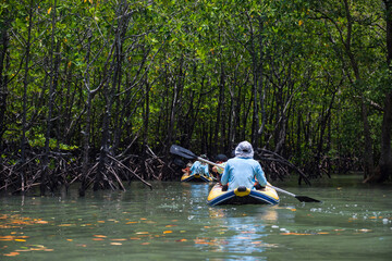 Fototapeta na wymiar canoe to mangrove swamp, Phang Nga
