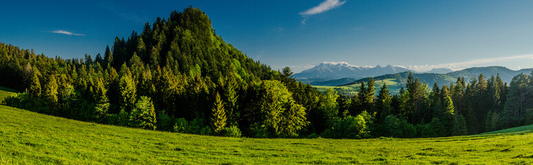 Widok na Tatry z Wysokiego Wierchu, Pieniny, Polska, Słowacja